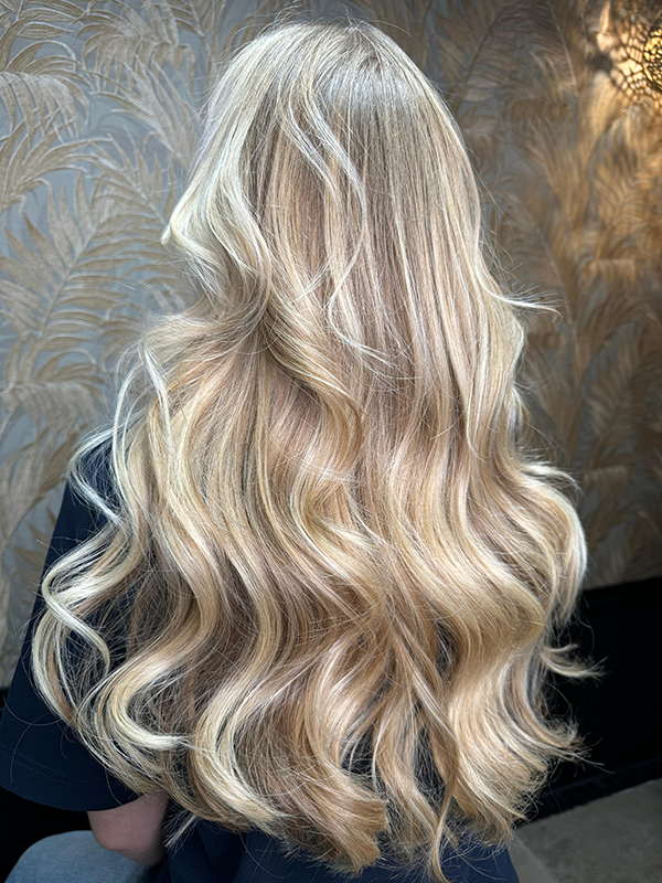 uitgroei bijwerken rotterdam