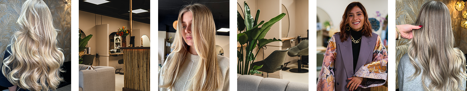 uitgroei bijwerken rotterdam